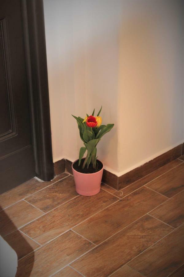 Majorana Palace Apartment Catania